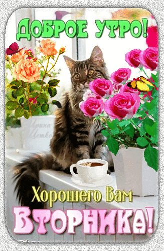 dobroe-utro-xoroshego-vam-vtornika.gif
