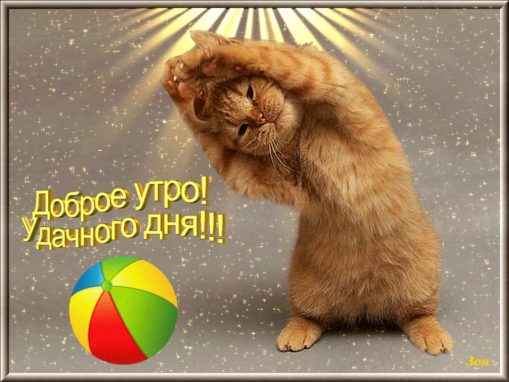 Dobroe-utro14.gif