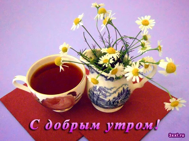 Доброе утро2.webp