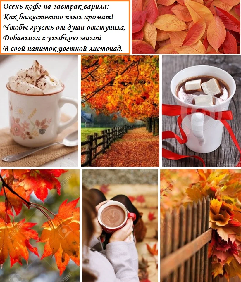 Доброе утро87518 (осень).webp