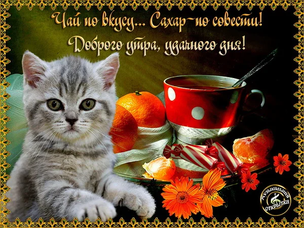 доброе утро_p01.webp