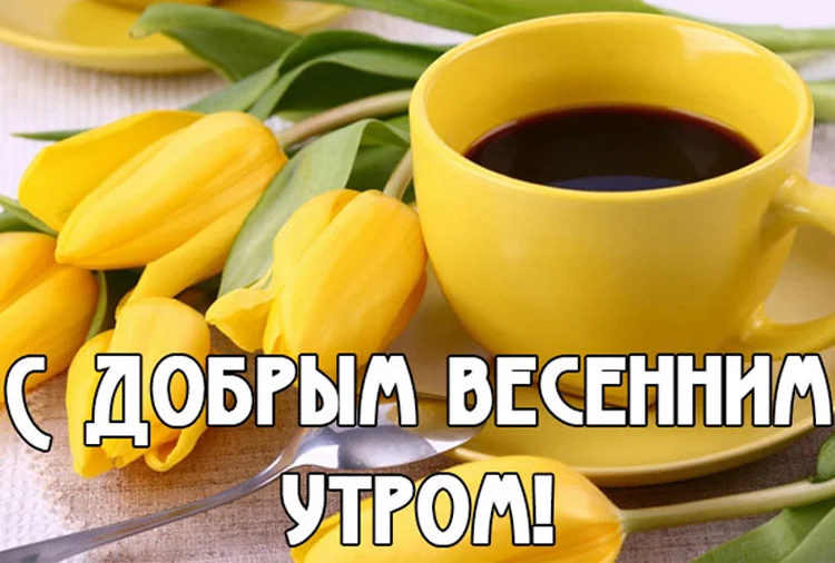 доброе-весеннее-утро-картинки-ivseitaki-interesno-5.webp