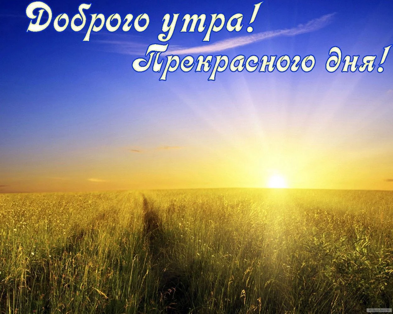dobroe-ytro-cover-527.webp