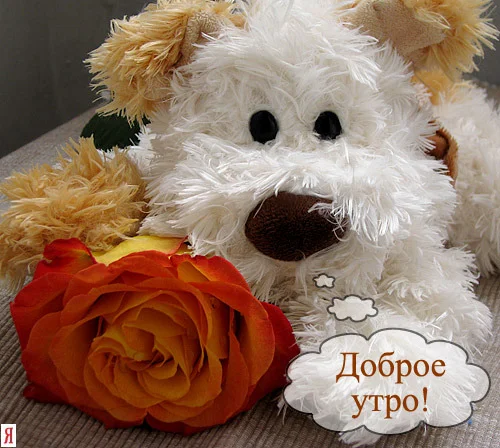 dobroe_utro_07.webp