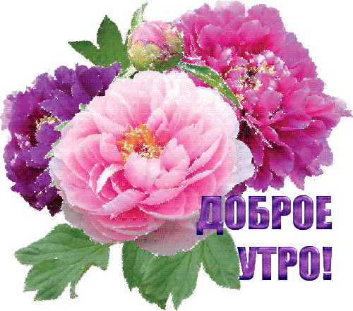 dobroe_utro_i_cvety.gif