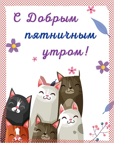 dobroe_utro_pyatnitsa_2.webp