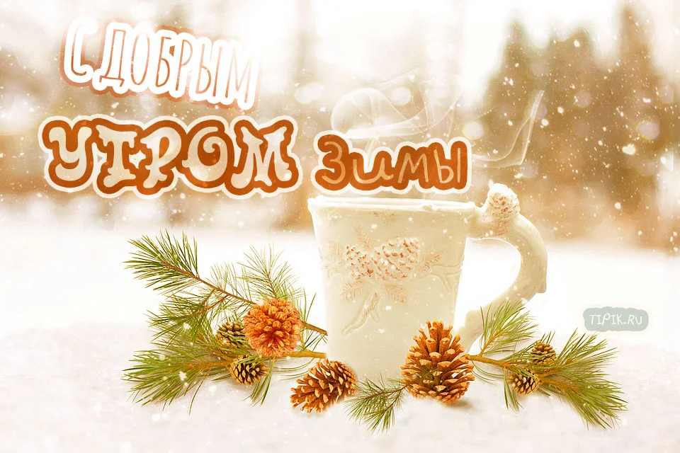 Dobroe_zimnee_utro_11_23125633 (1).webp