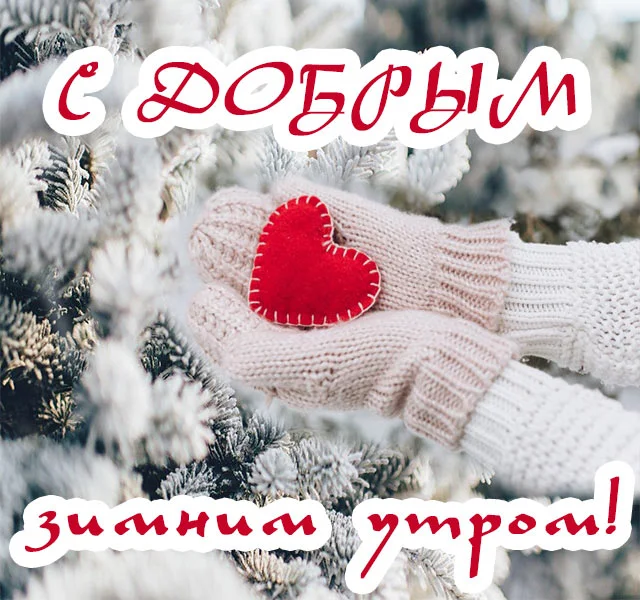 dobroe_zimnee_utro_kartinki_8.webp