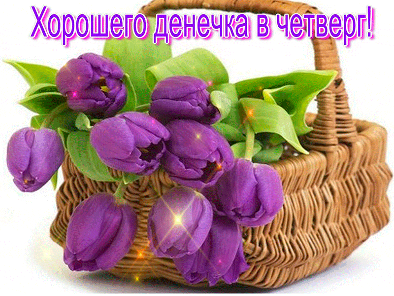 Dobrogo-denechka-v-chetverg.gif