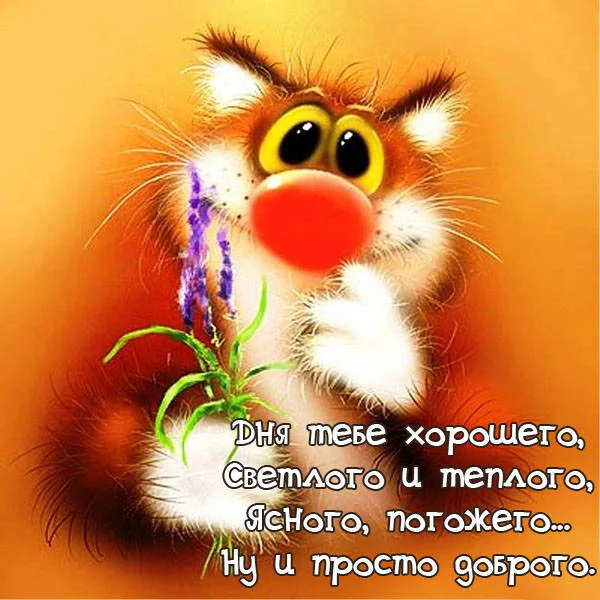 Dobrogo-dnya-i-horoshego-nastroeniya-prikolnye.webp