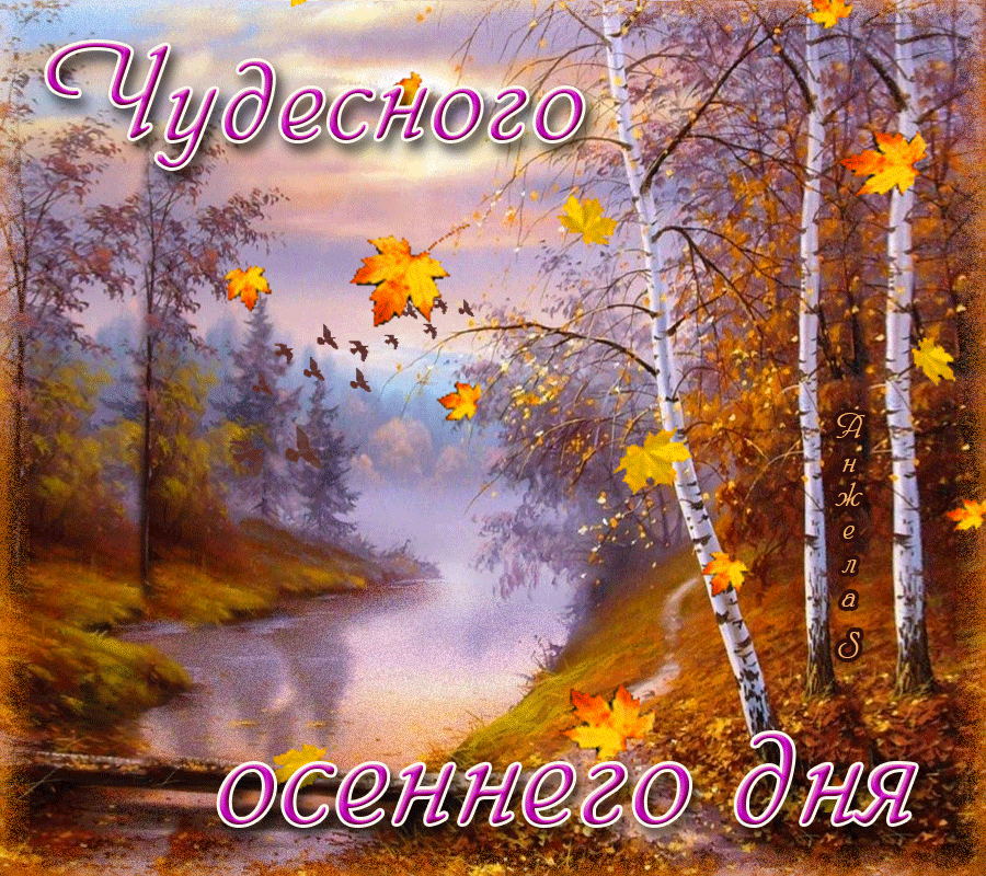 dobrogo-osennego-utra-i-horoshego-dnya-44 (1).gif