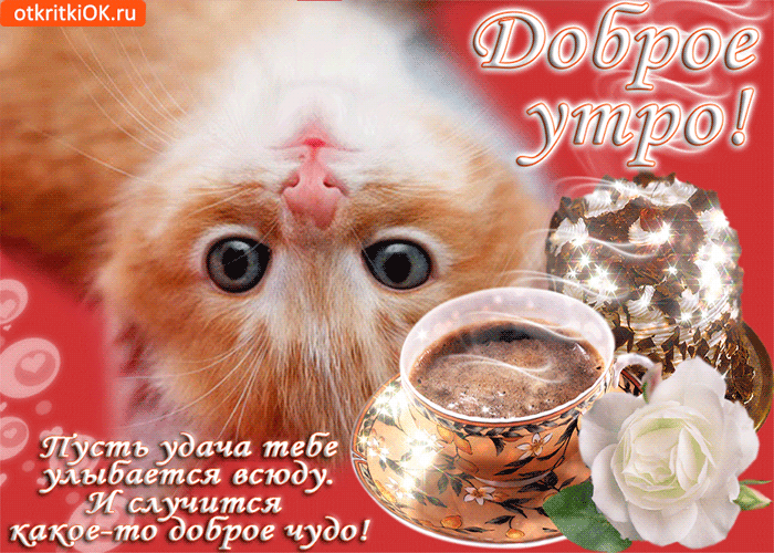 dobrogo-utra-i-udachnogo-dnya-51765-4895376.gif