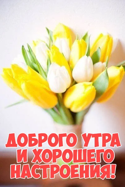 Доброго-утра-и-хорошего-настроения-скачать-бесплатно-картинки-открытки-2.webp