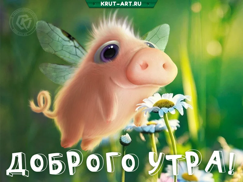 Dobrogo-utra-milaya-otkrytka.webp
