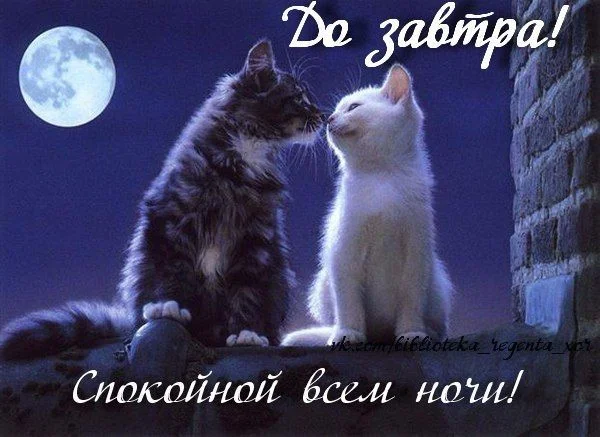 Доброго-вечера-и-спокойной-ночи-красивые-картинки-и-открытки-12.webp