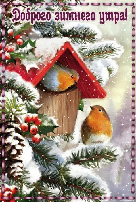 dobrogo-zimnego-utra-kartinka-novaya.webp
