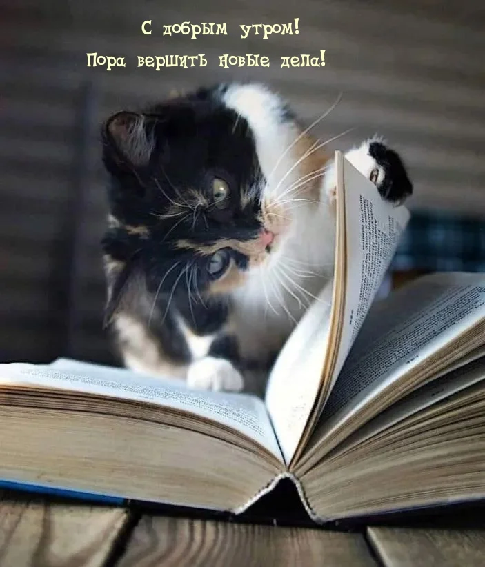 dobrogoutra_ru_21128 (1).webp