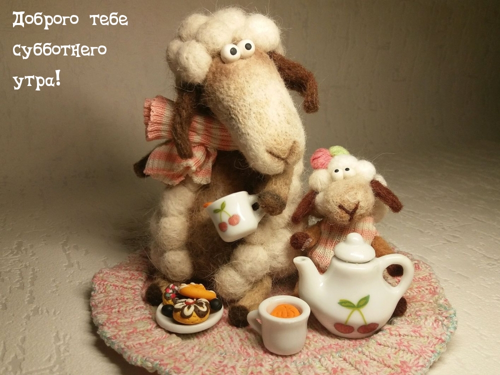 dobrogoutra_ru_2315 (1).jpg