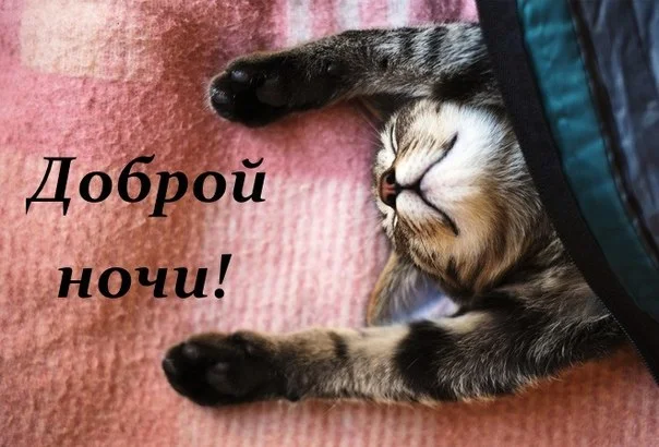 доброй ночи.webp