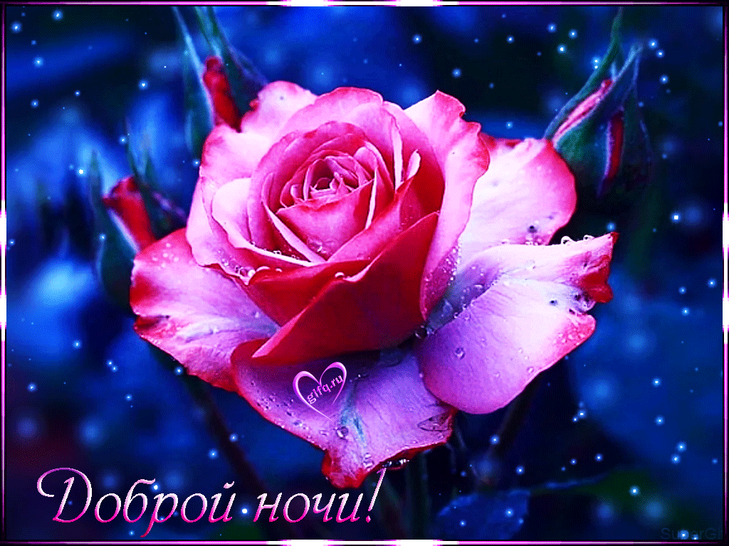 dobroj-nochi.gif