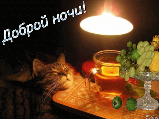 dobroj-nochi.gif