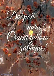 dobroj-nochi-schastlivogo-zavtra.webp