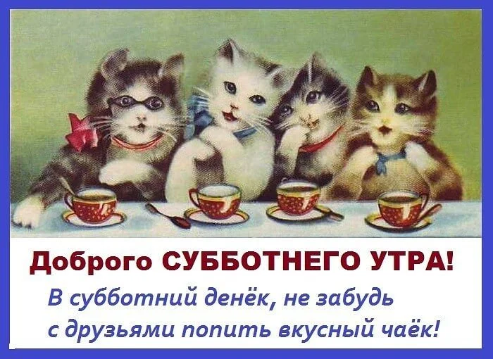 dobroj-subboty-kartinki-humoraf-ru-7.webp
