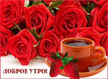 добрый-утро-прикольный.webp