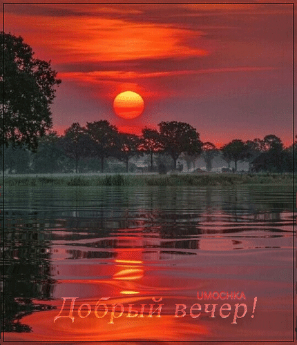 dobryj-vecher.gif
