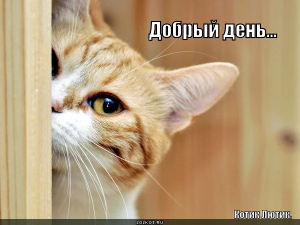 dobryy-den_1435601143.webp