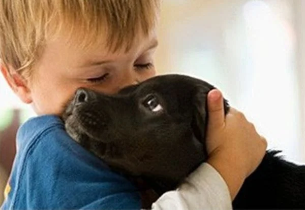 dog_end_men-5.webp
