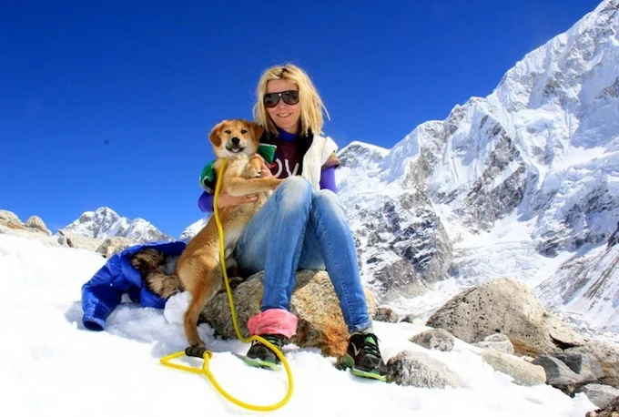 dogmounteverest5.webp