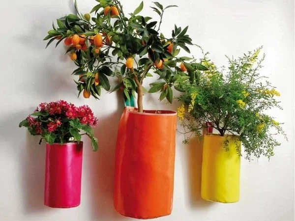 дом цветы дизайн.webp