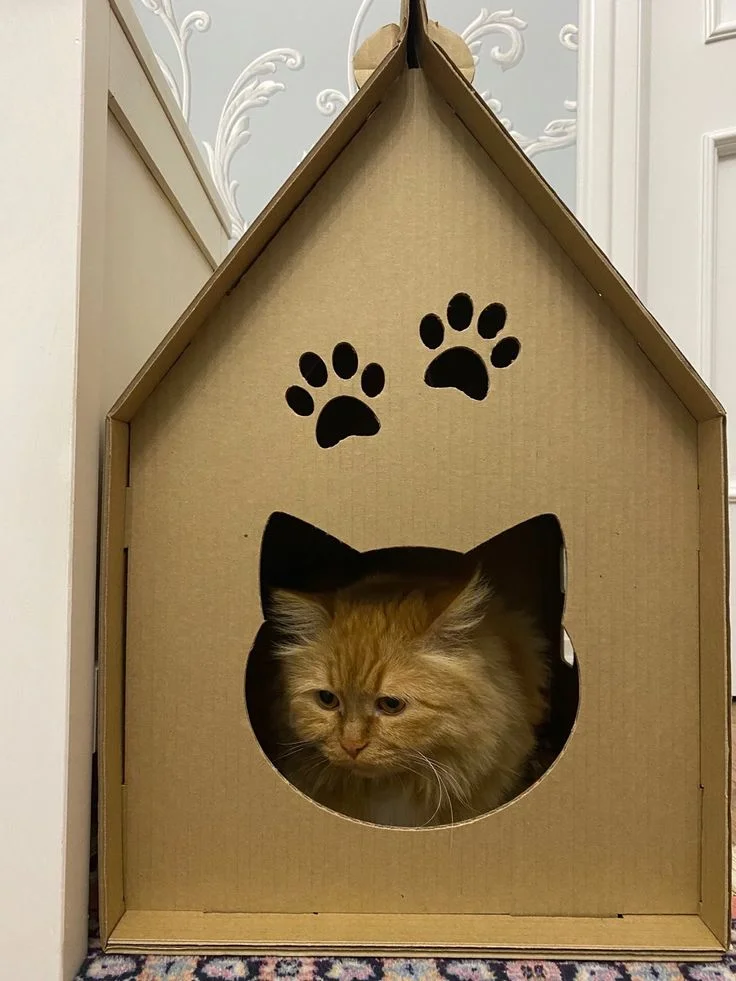 Дом для кота.webp