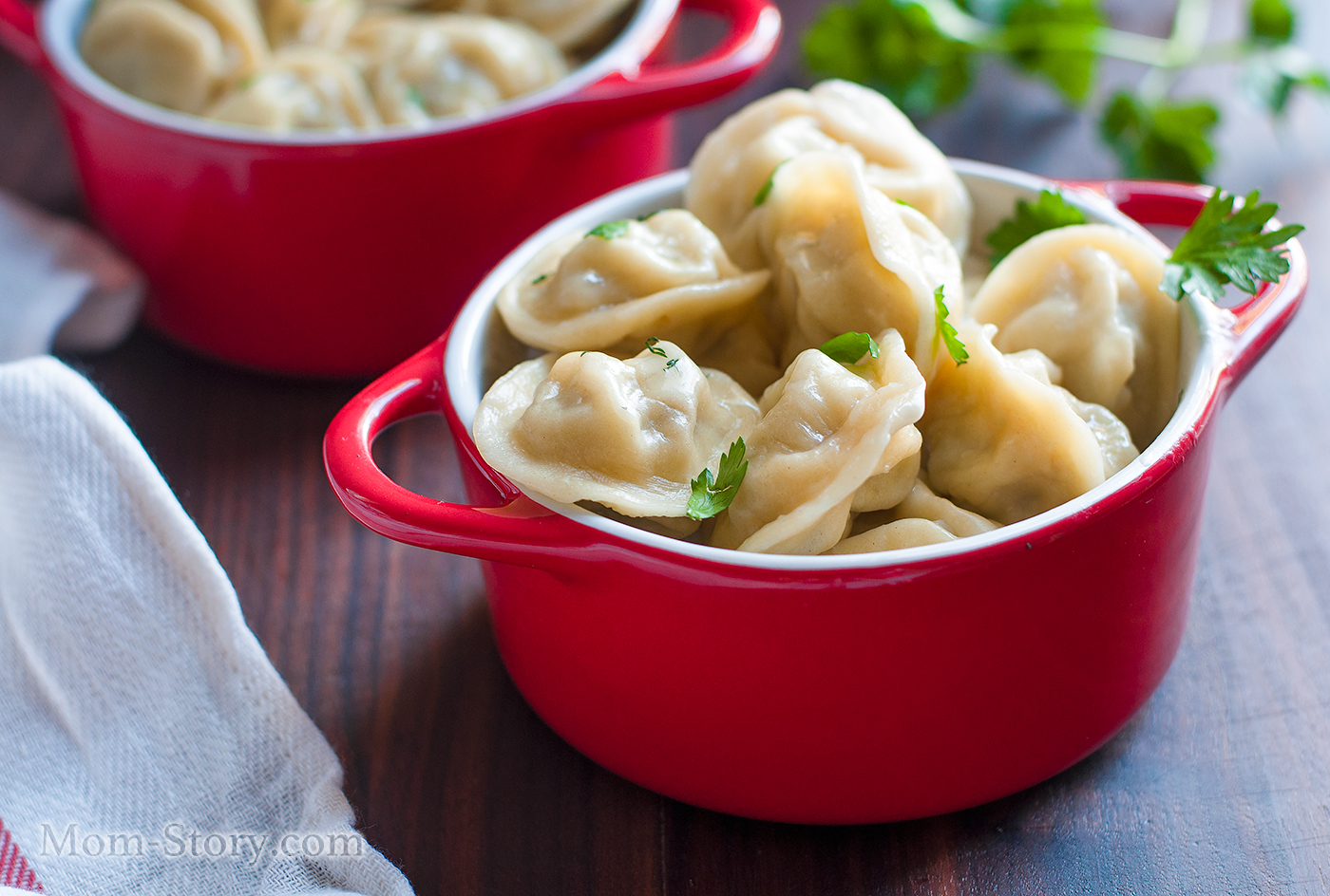 domashnie-pelmeni-recept.jpg