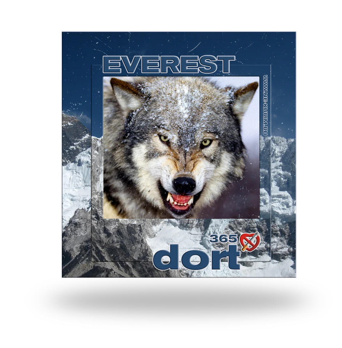 dort eveerest .webp