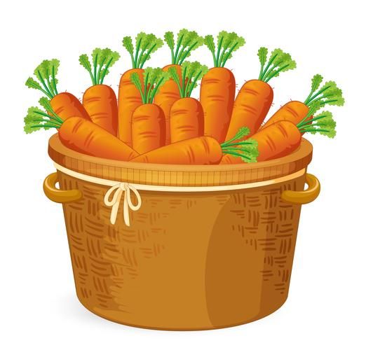 Download Carrot in in basket weaving for free.jpeg