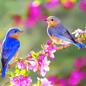 downloadfile.bin (4).webp