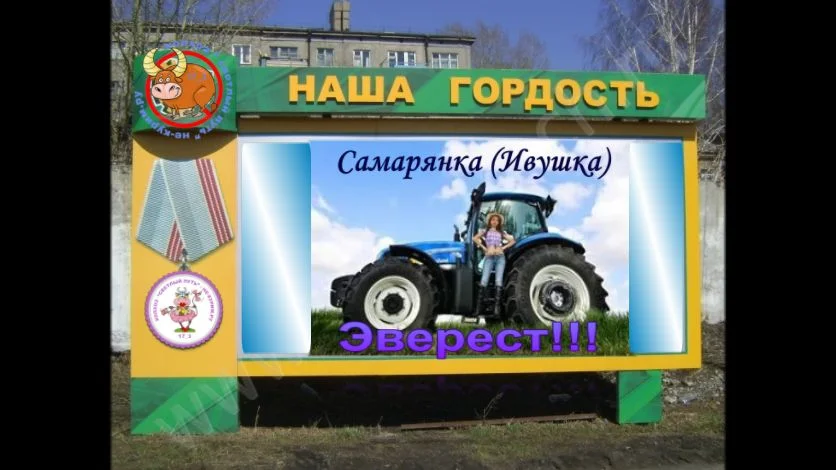 дп.webp