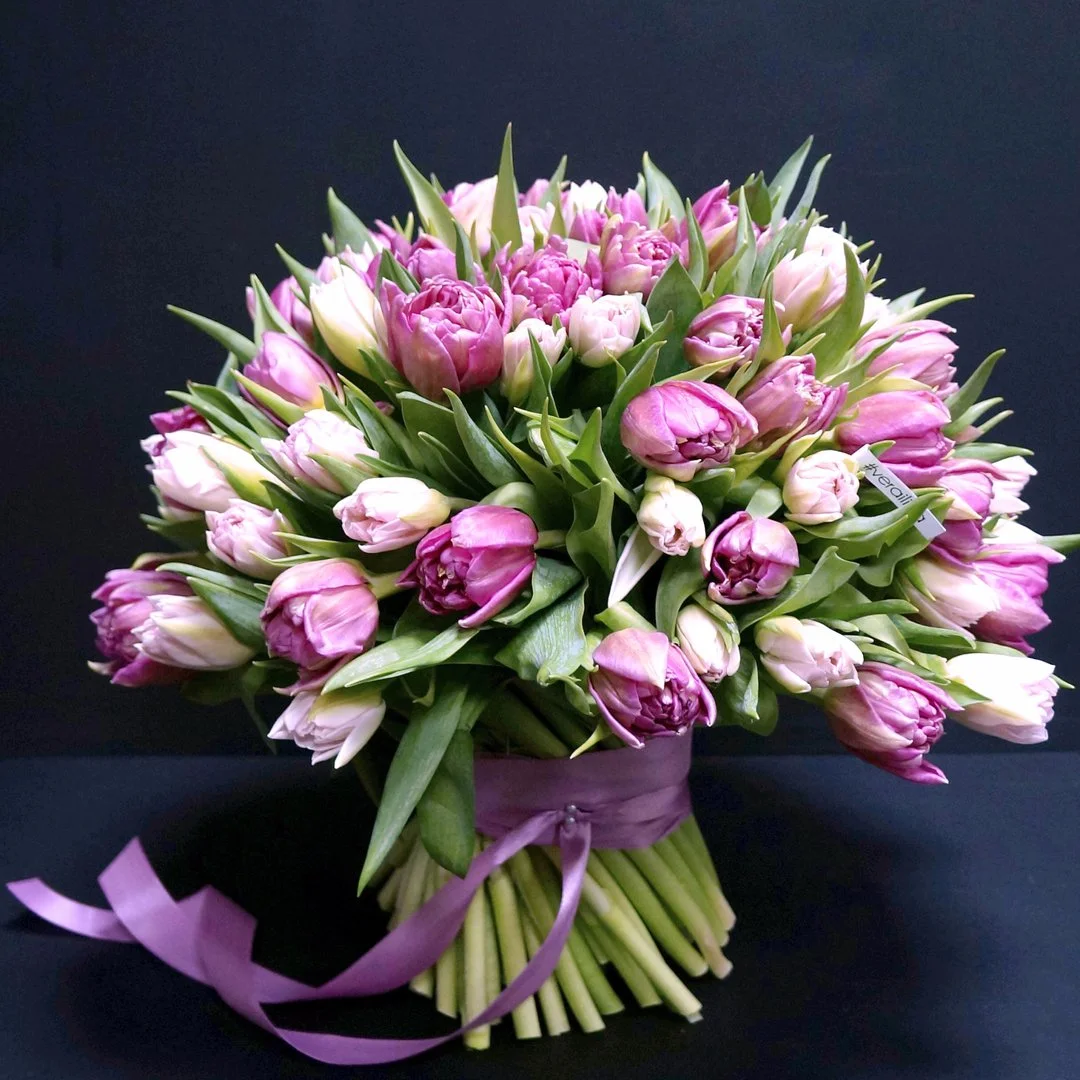 DQ_-w0DWkAAPgok.jpg large.webp