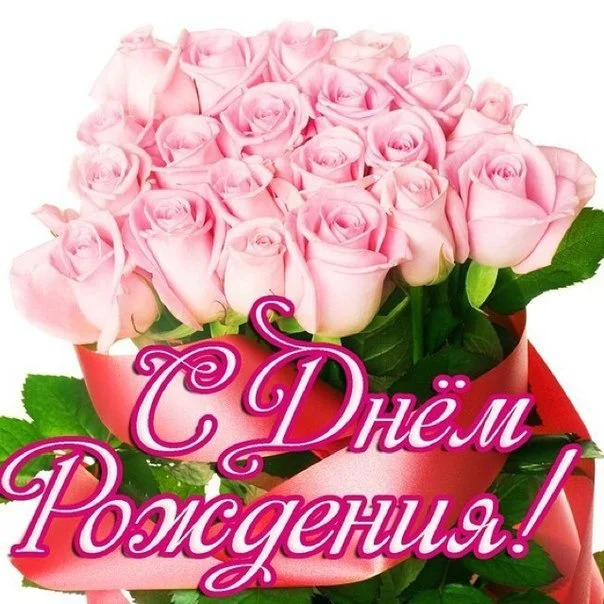 ДР сурикат.webp