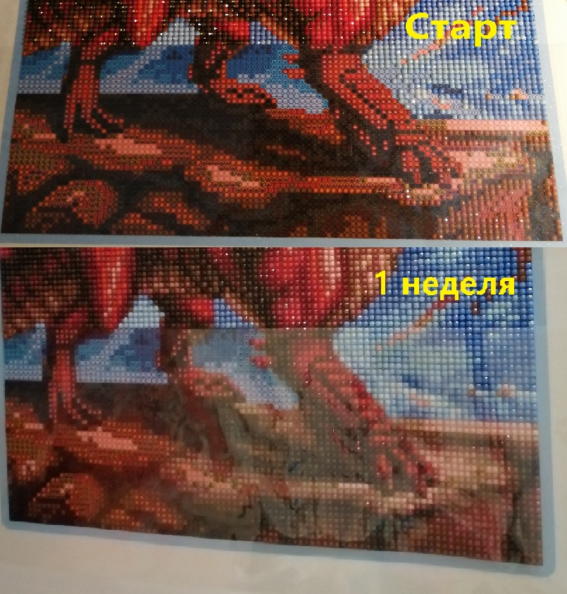 дракон 0 1.jpg