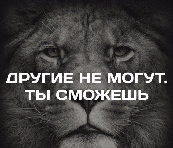Другие+не+могут.+Ты+сможешь!.webp