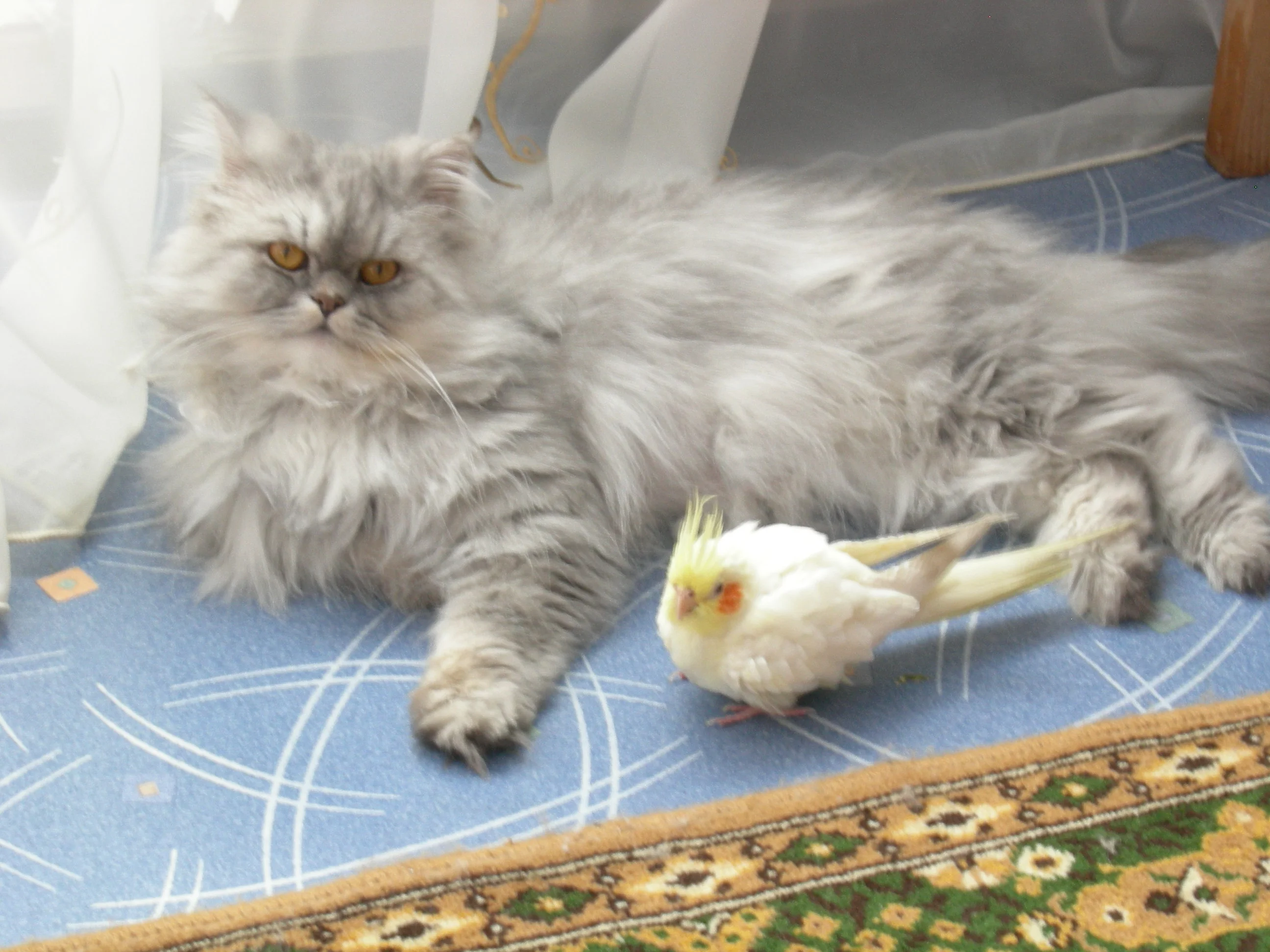 ДРУЖБА НА ВЕКА.webp