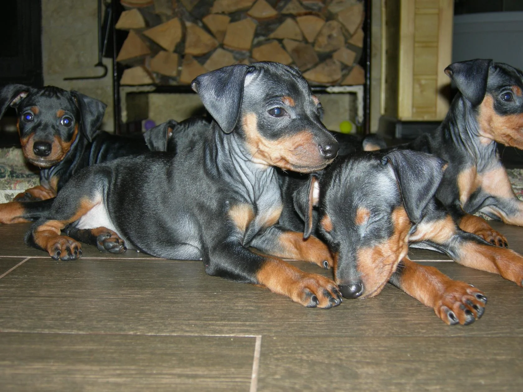 дружная семья.webp