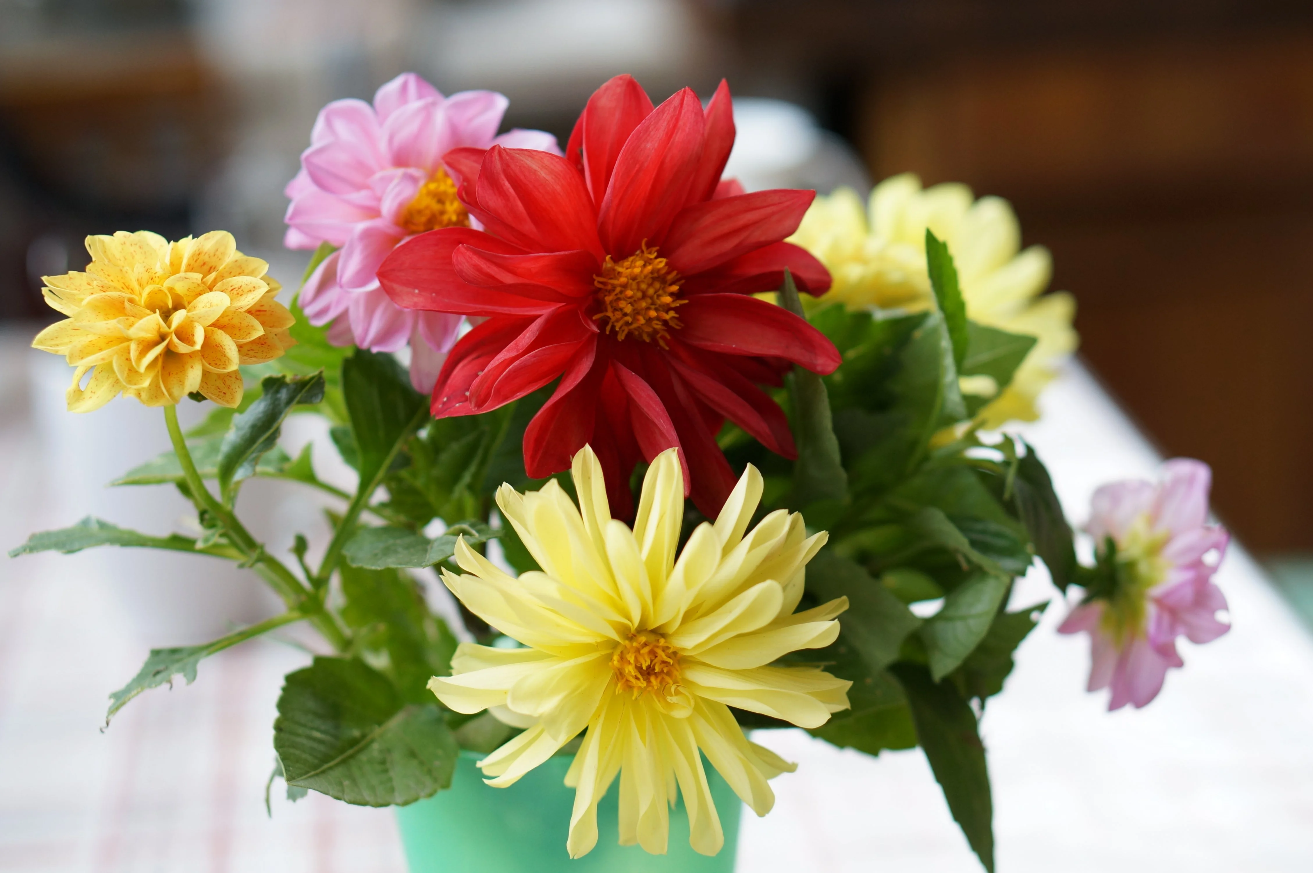 DSC01253.webp