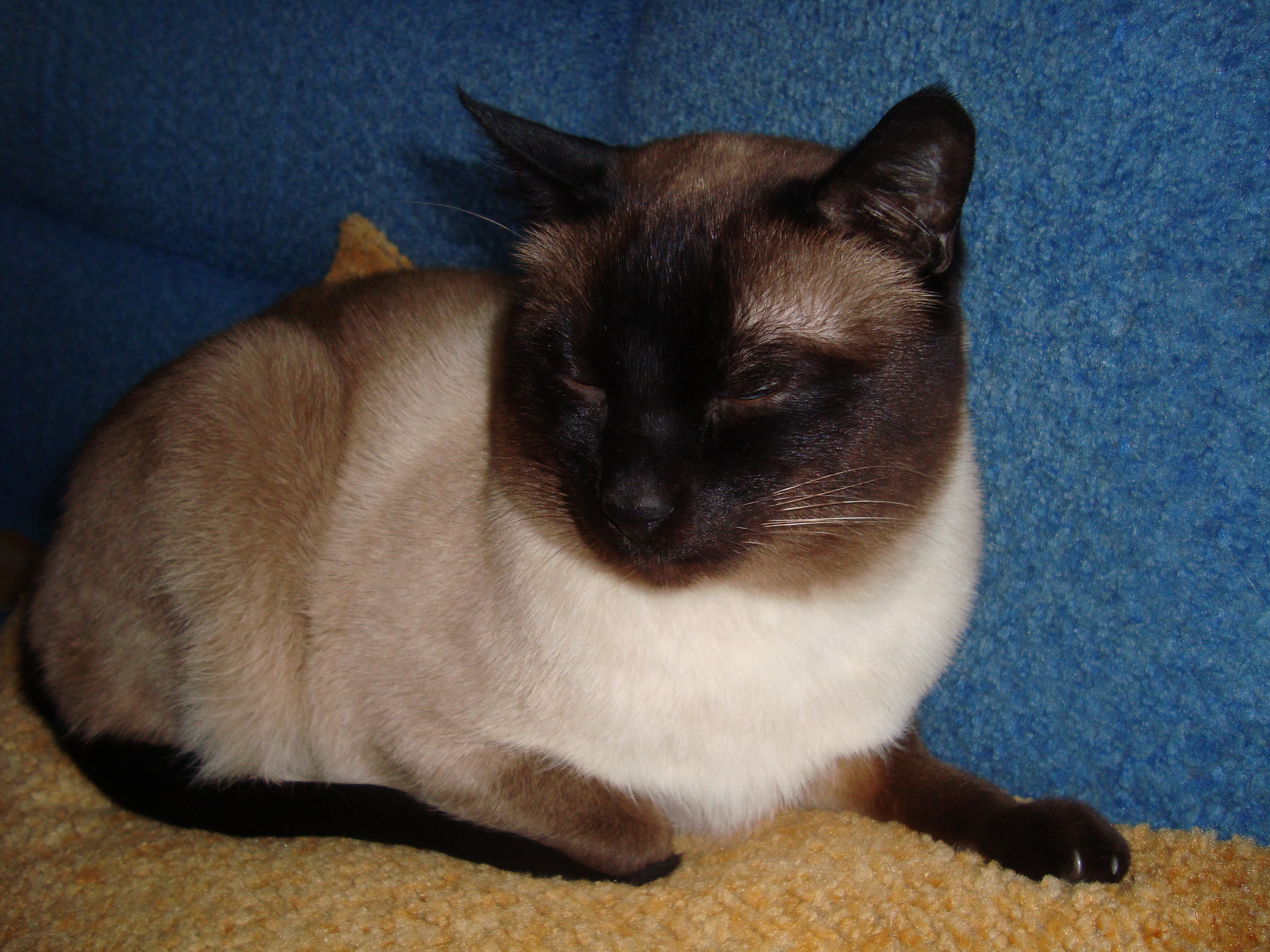 DSC01335.JPG