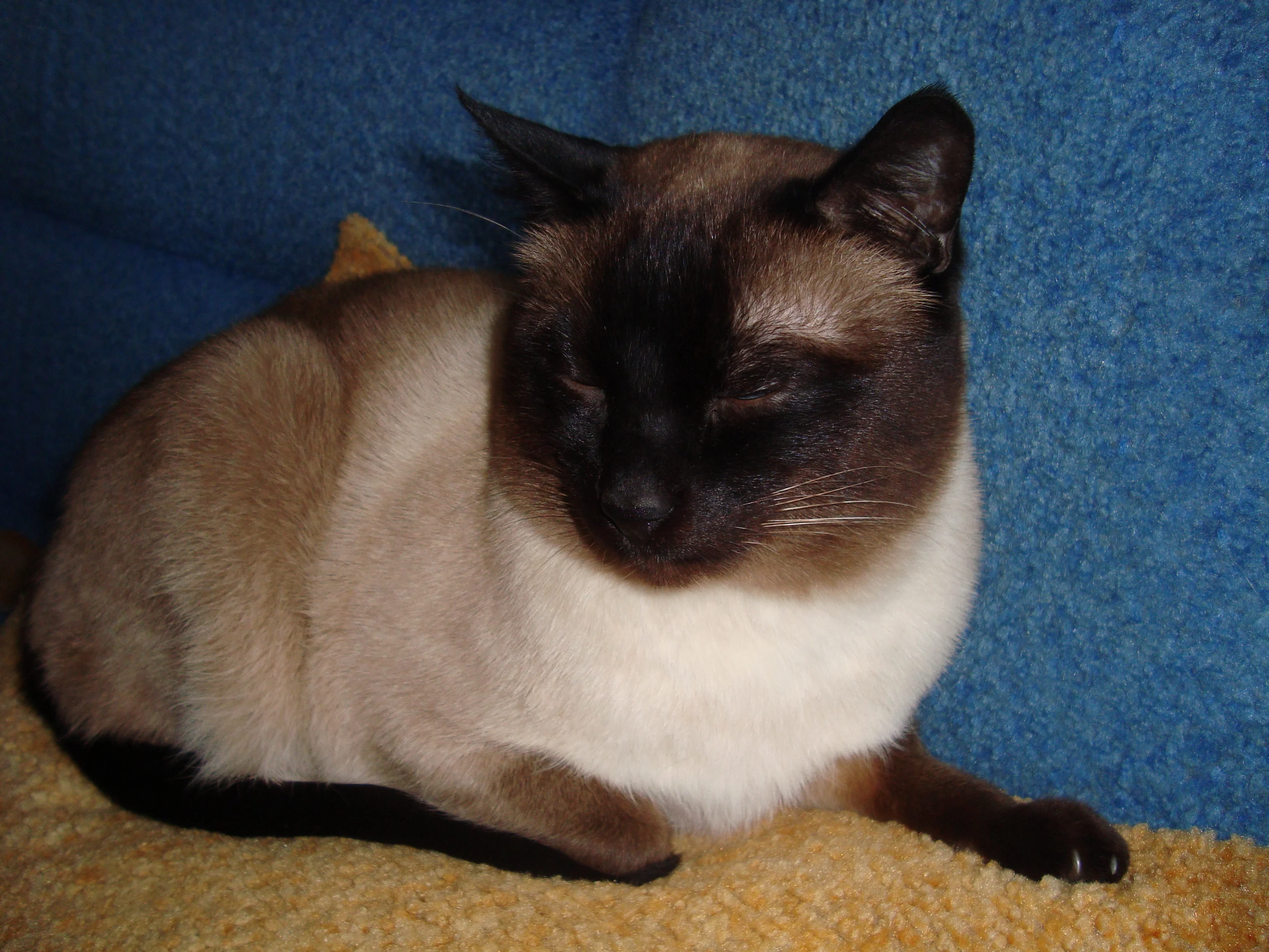 DSC01335.webp