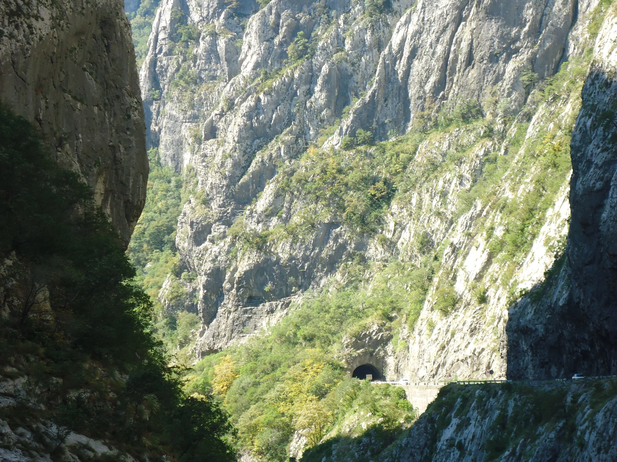 DSC02327.webp