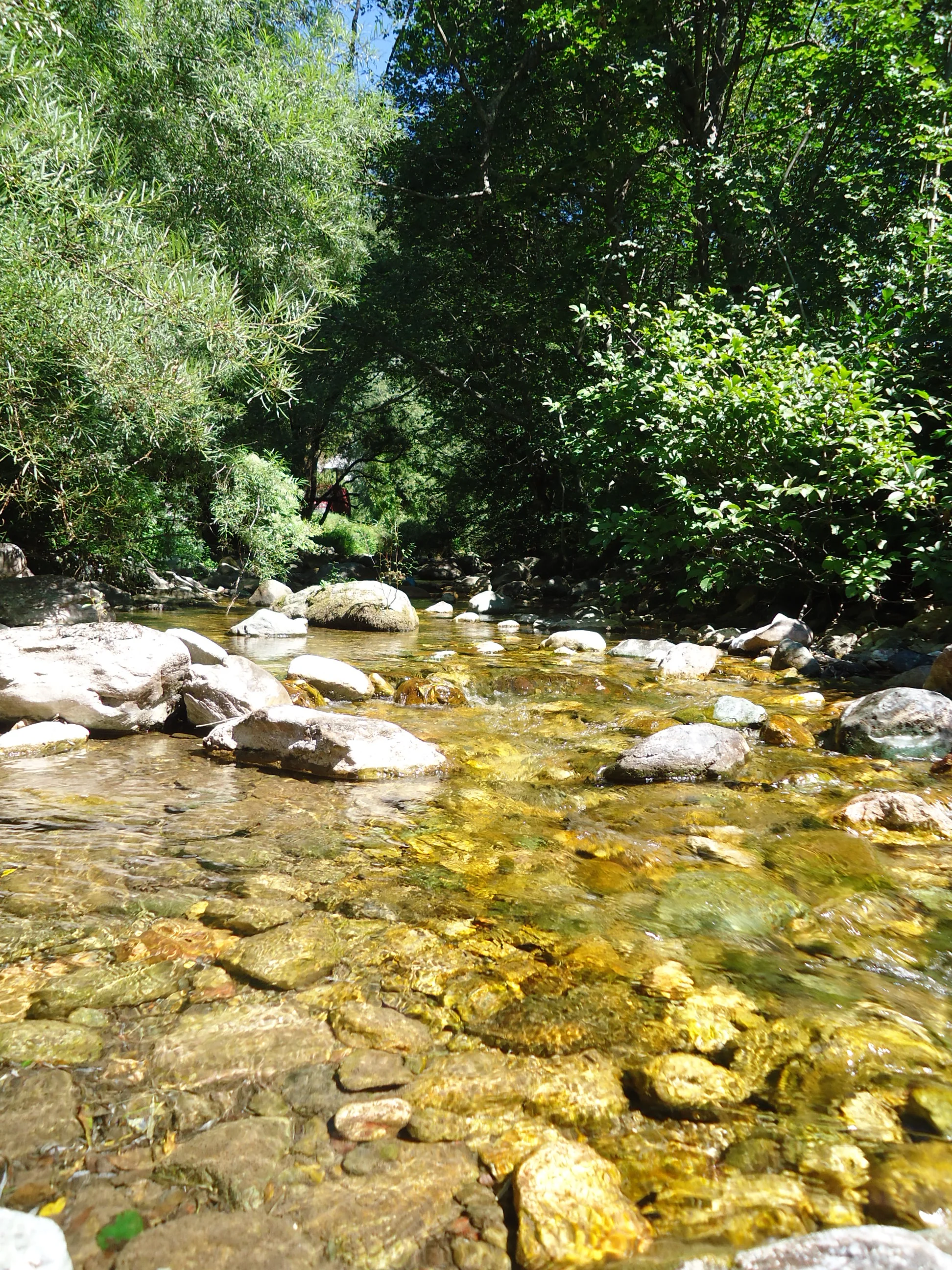 DSC02339.webp